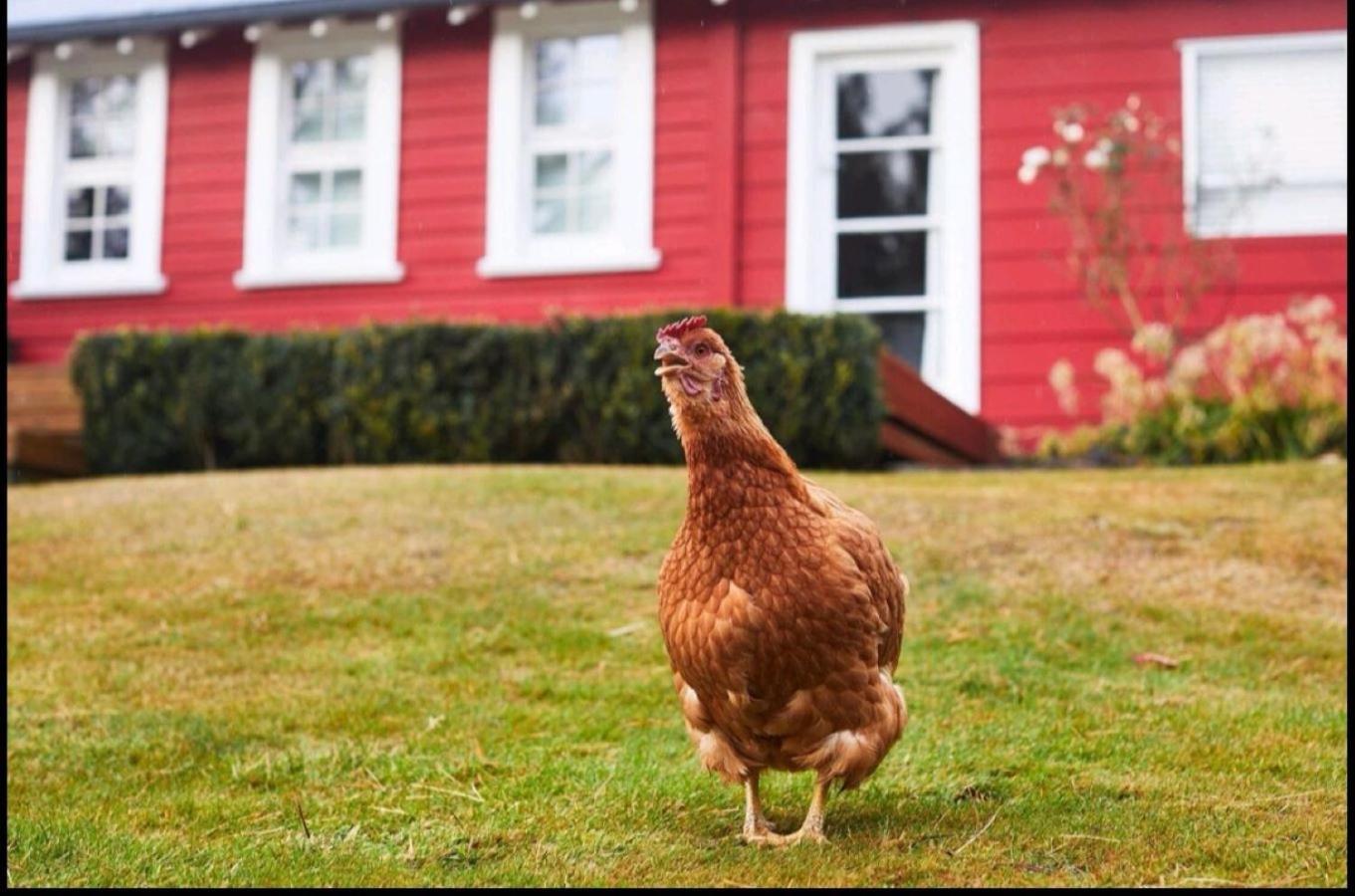 オマルー Little Red School Houseヴィラ エクステリア 写真